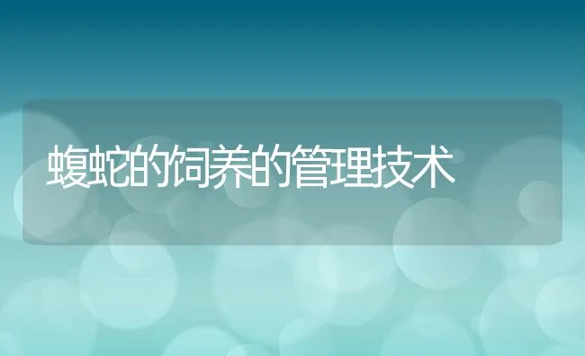 蝮蛇的饲养的管理技术 | 动物养殖饲料