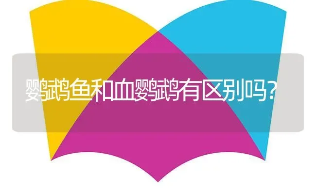 鹦鹉鱼和血鹦鹉有区别吗？ | 鱼类宠物饲养