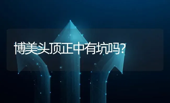 博美头顶正中有坑吗？ | 动物养殖问答