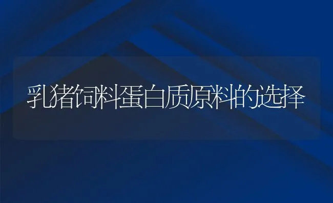 乳猪饲料蛋白质原料的选择 | 动物养殖饲料