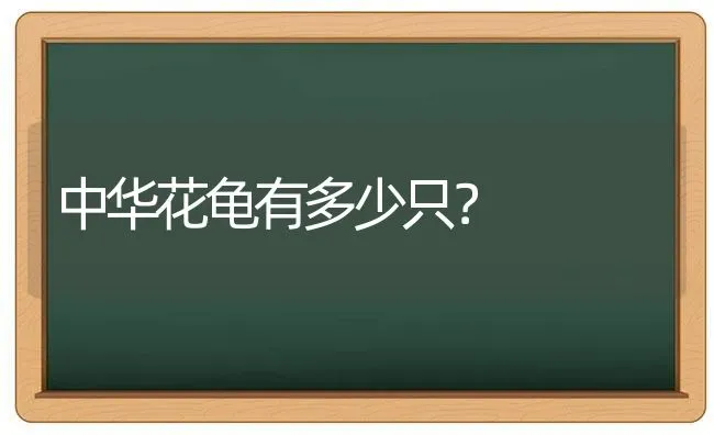 逻辑猫和暹罗猫是一个品种的猫吗？ | 动物养殖问答