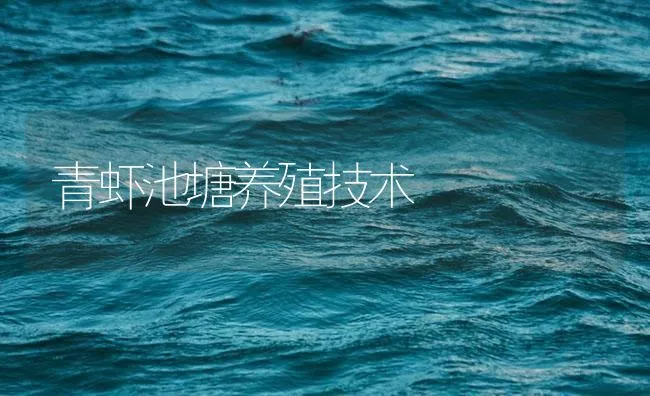 青虾池塘养殖技术 | 海水养殖技术