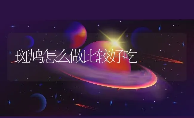 斑鸠怎么做比较好吃 | 动物养殖百科