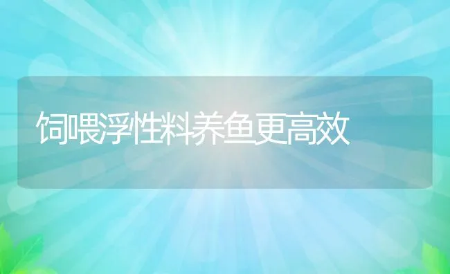 饲喂浮性料养鱼更高效 | 动物养殖饲料