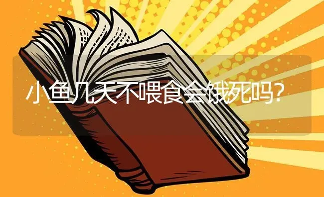 小鱼几天不喂食会饿死吗？ | 鱼类宠物饲养