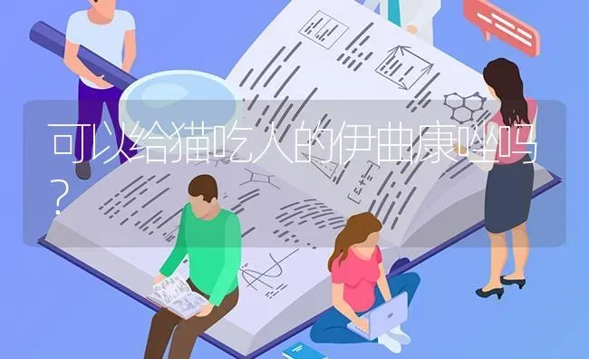 可以给猫吃人的伊曲康唑吗？ | 动物养殖问答