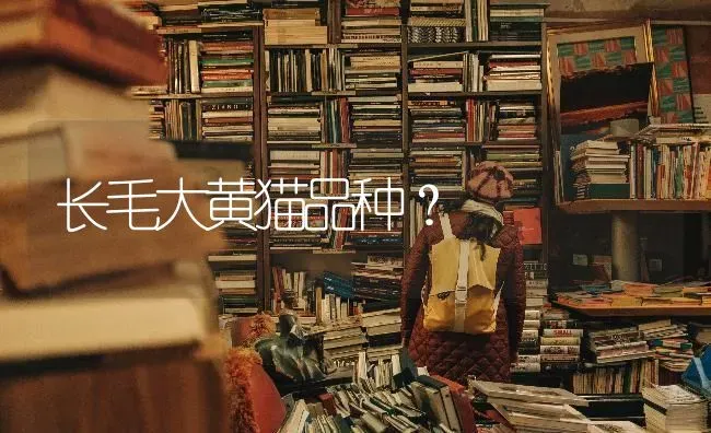 长毛大黄猫品种？ | 动物养殖问答