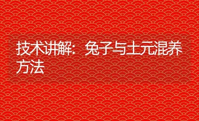 技术讲解:兔子与土元混养方法 | 动物养殖百科