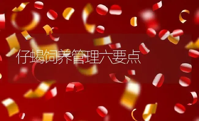 仔蝎饲养管理六要点 | 动物养殖百科