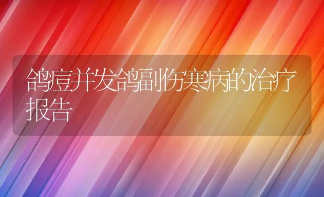 鸽痘并发鸽副伤寒病的治疗报告 | 水产养殖知识