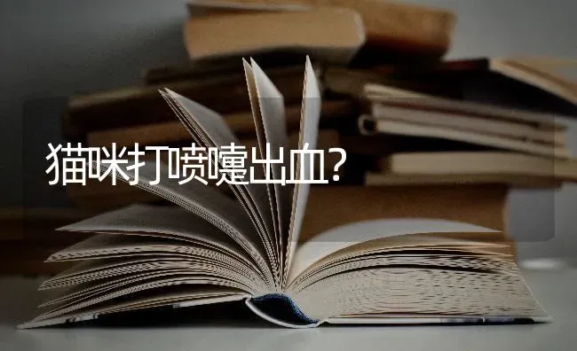 比熊嘴长好还是嘴短好？ | 动物养殖问答