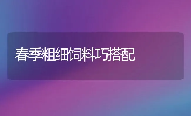 养猪健康六步走 | 动物养殖学堂