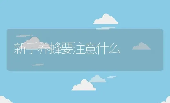 新手养蜂要注意什么 | 动物养殖百科