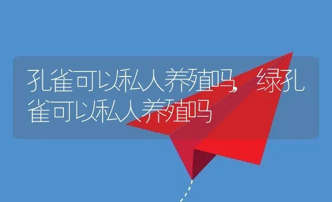 孔雀可以私人养殖吗,绿孔雀可以私人养殖吗 | 宠物百科知识