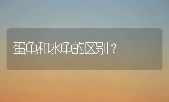 蛋龟和水龟的区别？ | 动物养殖问答