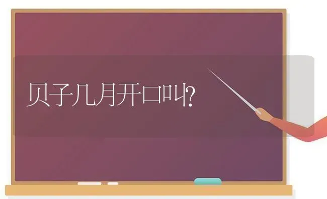 我家的猫已经拉稀了很久了，要怎么才能让它不拉稀？ | 动物养殖问答