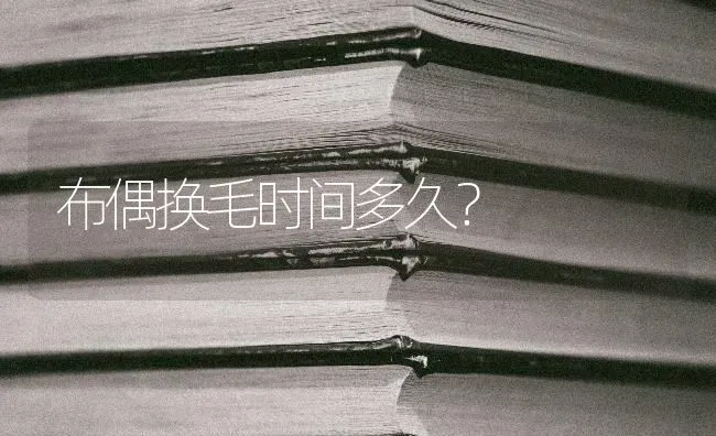 布偶换毛时间多久？ | 动物养殖问答