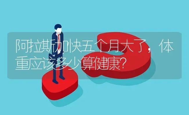 阿拉斯加快五个月大了，体重应该多少算健康？ | 动物养殖问答