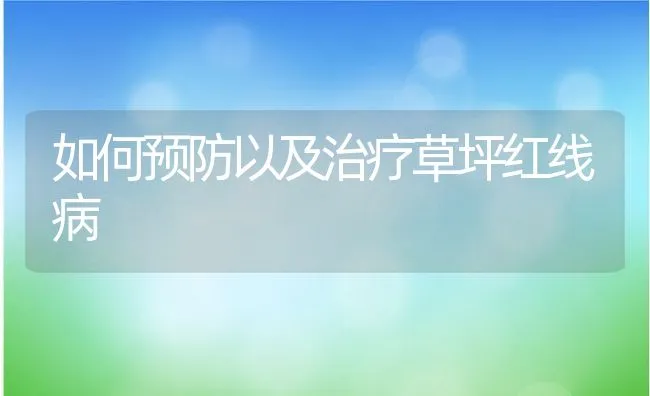 如何预防以及治疗草坪红线病 | 水产养殖知识