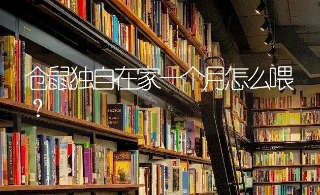 仓鼠独自在家一个月怎么喂？ | 动物养殖问答