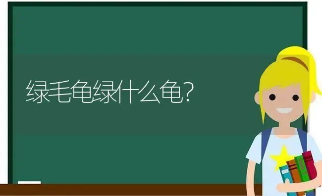 绿毛龟绿什么龟？ | 动物养殖问答