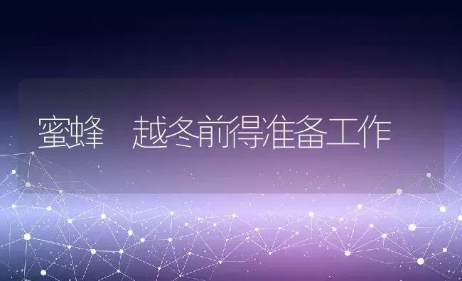 蜜蜂 越冬前得准备工作 | 动物养殖百科