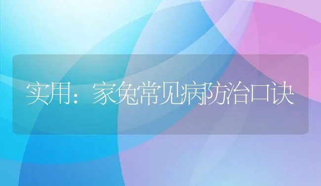 实用：家兔常见病防治口诀 | 水产养殖知识