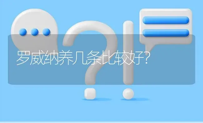 罗威纳养几条比较好？ | 动物养殖问答