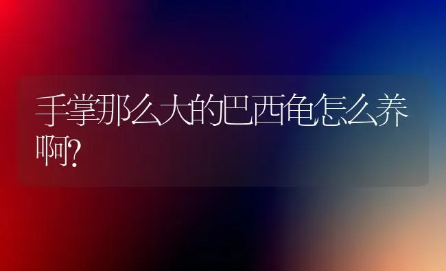 手掌那么大的巴西龟怎么养啊？ | 动物养殖问答