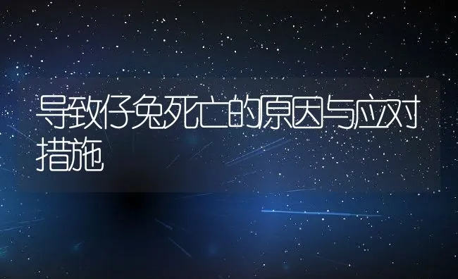 导致仔兔死亡的原因与应对措施 | 水产养殖知识