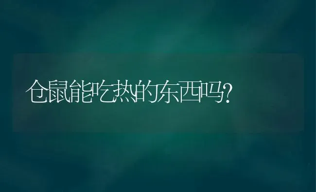 仓鼠能吃热的东西吗？ | 动物养殖问答