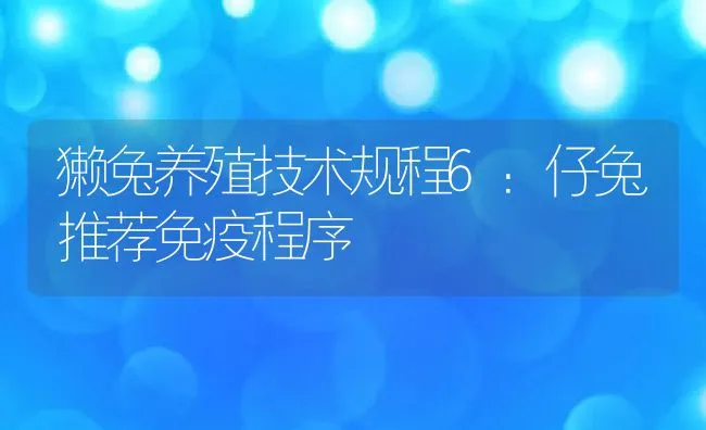 獭兔养殖技术规程6：仔兔推荐免疫程序 | 动物养殖学堂