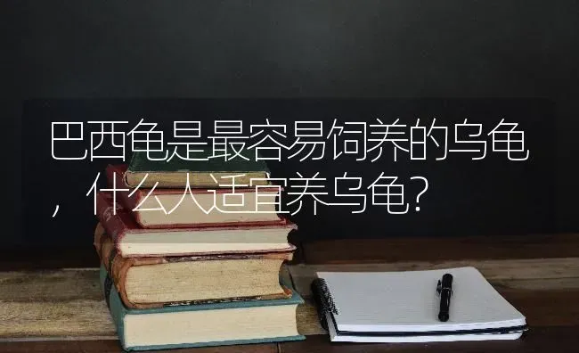 巴西龟是最容易饲养的乌龟，什么人适宜养乌龟？ | 动物养殖问答