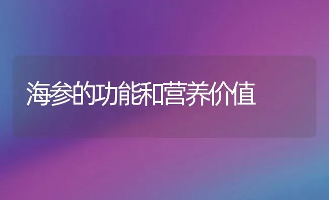 海参的功能和营养价值 | 淡水养殖技术