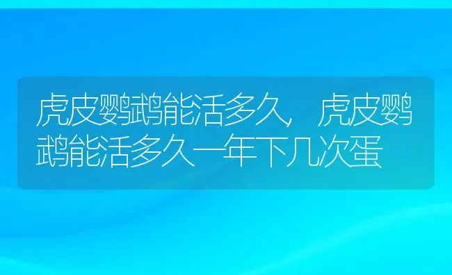 虎皮鹦鹉能活多久,虎皮鹦鹉能活多久一年下几次蛋 | 宠物百科知识