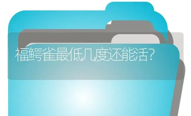 福鳄雀最低几度还能活？ | 鱼类宠物饲养