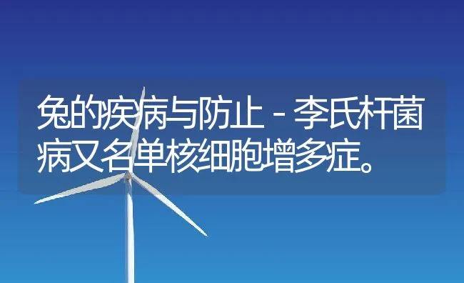 兔的疾病与防止－李氏杆菌病又名单核细胞增多症。 | 水产养殖知识