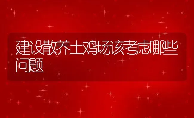 建设散养土鸡场该考虑哪些问题 | 动物养殖教程