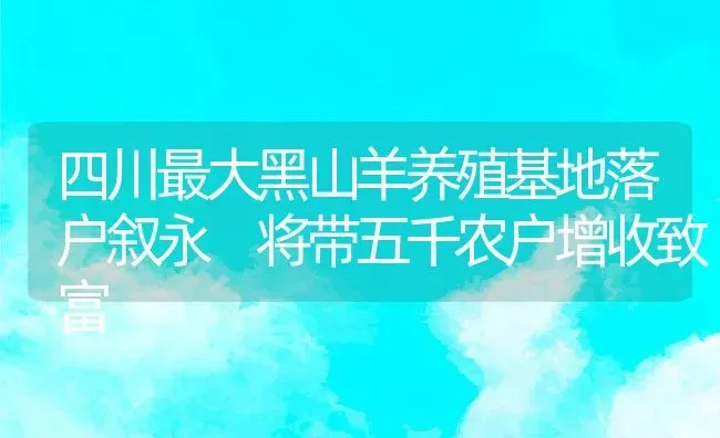 四川最大黑山羊养殖基地落户叙永 将带五千农户增收致富 | 动物养殖教程