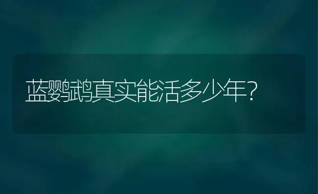 蓝猫10个月一般多重？ | 动物养殖问答