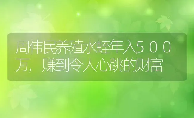 周伟民养殖水蛭年入500万,赚到令人心跳的财富 | 动物养殖百科