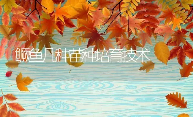 鳜鱼几种苗种培育技术 | 动物养殖教程