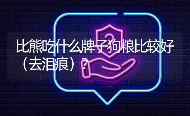 比熊吃什么牌子狗粮比较好（去泪痕）？ | 动物养殖问答