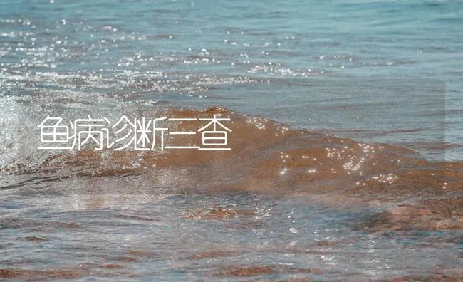 鱼病诊断三查 | 海水养殖技术