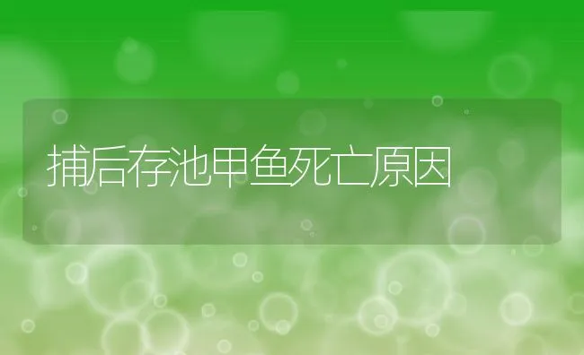 捕后存池甲鱼死亡原因 | 动物养殖学堂