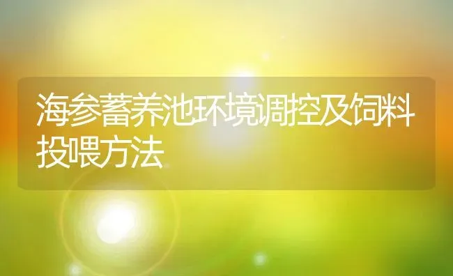 海参蓄养池环境调控及饲料投喂方法 | 动物养殖百科