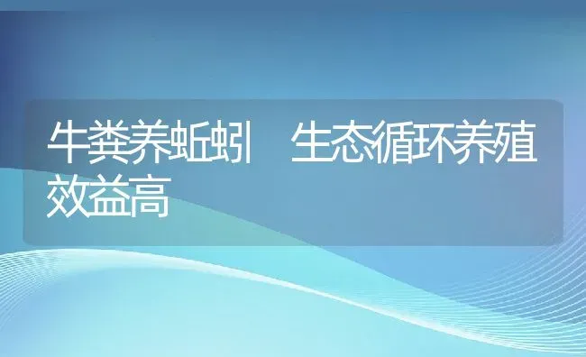 牛粪养蚯蚓 生态循环养殖效益高 | 动物养殖百科