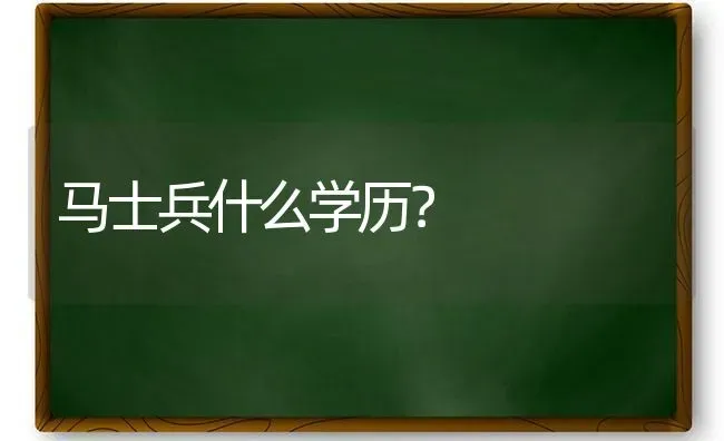 马士兵什么学历？ | 动物养殖问答