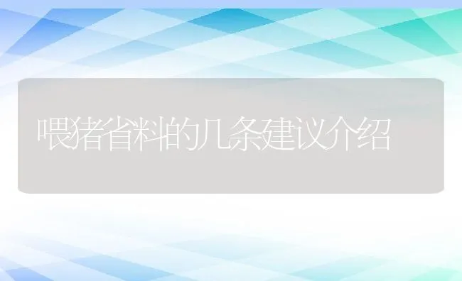 喂猪省料的几条建议介绍 | 动物养殖学堂