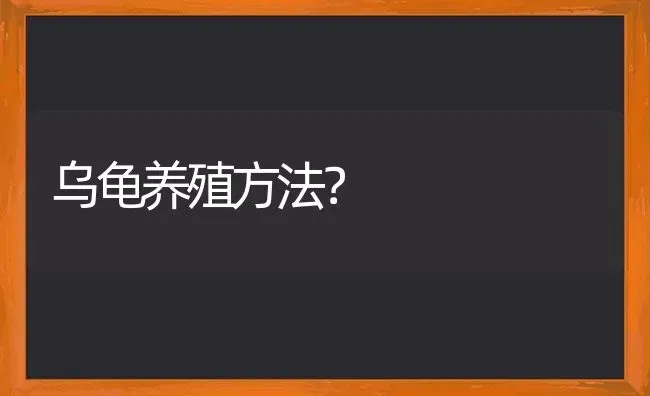 乌龟养殖方法？ | 动物养殖问答